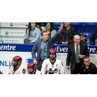 Vancouver Stealth bench