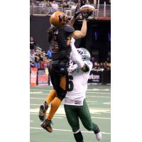 Arizona Rattlers Receiver Anthony Amos makes a contested catch