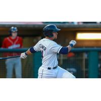 Jake Scheiner of the Lakewood BlueClaws