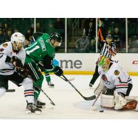 Joel L'Esperance of the Texas Stars eyes the puck against the Rockford IceHogs