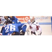 South Carolina Stingrays goaltender Alex Dubeau vs. the Jacksonville Icemen
