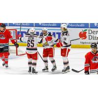 Grand Rapids Griffins celebrate a goal against the Rockford IceHogs