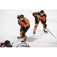 Lehigh Valley Phantoms forwards Max Willman and Tanner MacMaster line up against the Hershey Bears