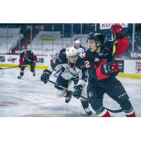 Vancouver Giants centre Eric Florchuk (left) vs. the Prince George Cougars